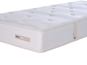 birds matras